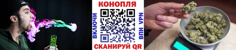 Бошки Шишки план  Купить  Геленджик 